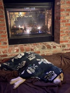 Bossier Parish family dog, Biscuit, warms up during Snowpocalypse.