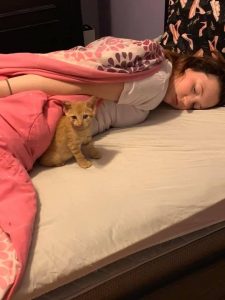 Bossier's HIP to the 'Animal' Rescue