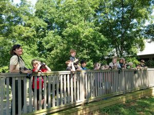 Bossier Parish Parks Bird Watching