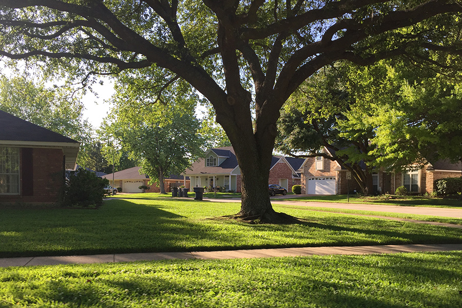 South Bossier Neighborhood